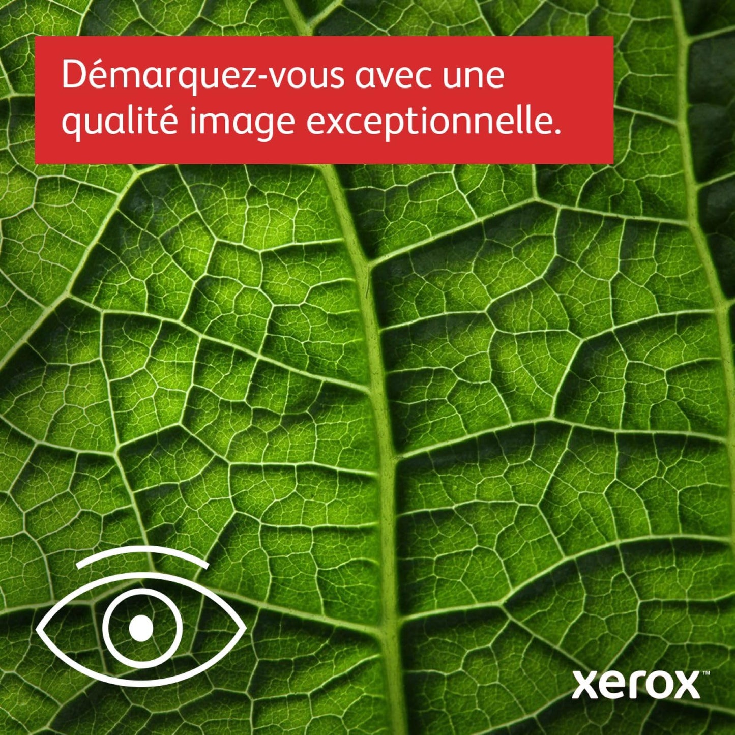 Xerox C410dn A4 40ppm Couleur Imprimante Laser avec Impression Recto-Verso